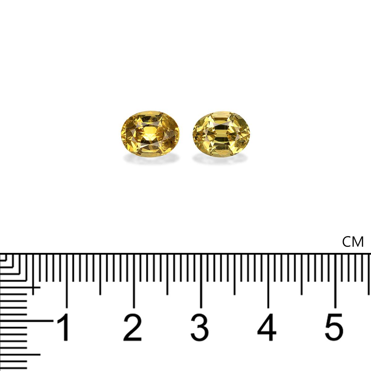 Grossular Garnet 4.86 ct